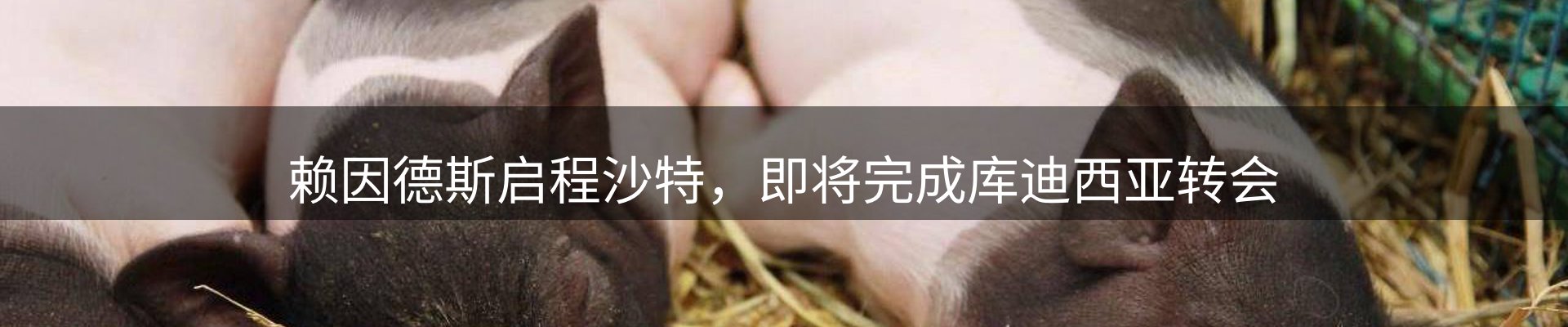 新闻中心